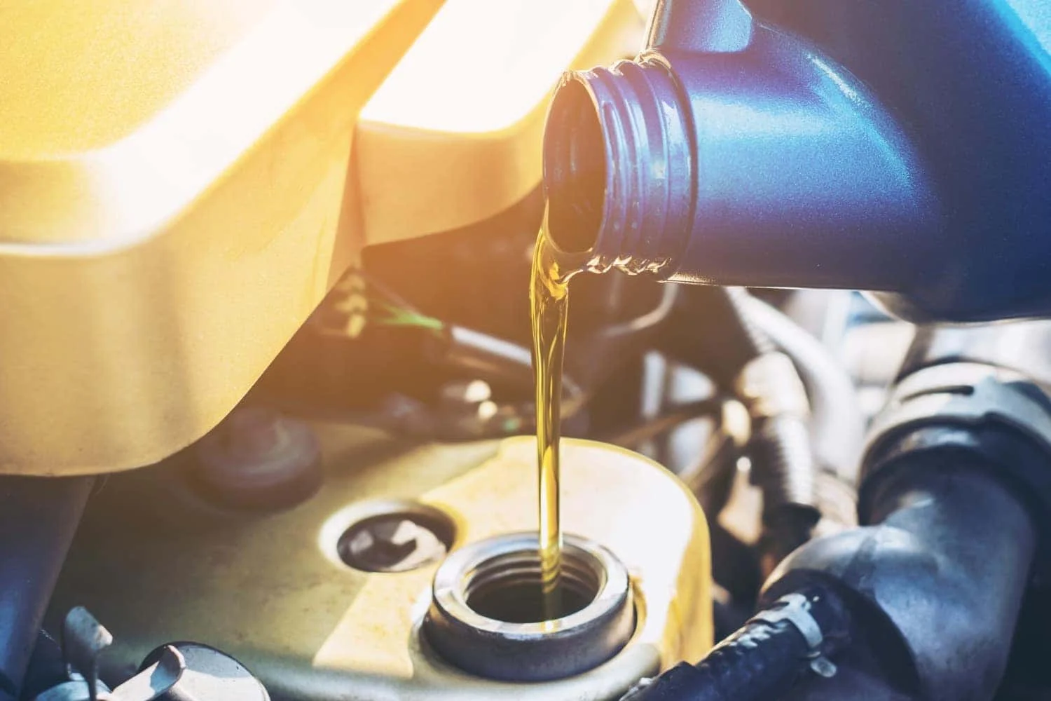 Synthetic motor oil replacement service near Leesburg GA at Albany Motorcars